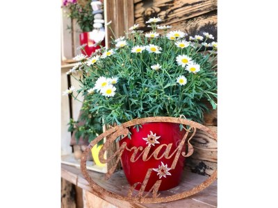 Holiday room Familienzimmer, Dusche oder Bad, WC, 2 Schlafräume - Outdoor photo 16