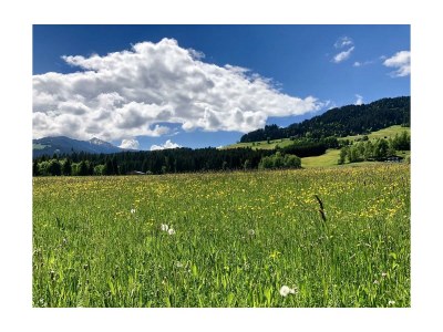 Holiday room Familienzimmer, Dusche oder Bad, WC, 2 Schlafräume - Outdoor photo 18