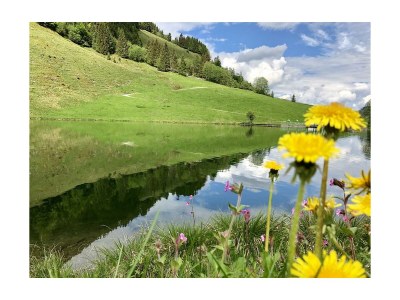 Holiday room Familienzimmer, Dusche oder Bad, WC, 2 Schlafräume - Outdoor photo 20
