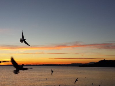 Holiday apartment Home & Garden - Environment photo 52