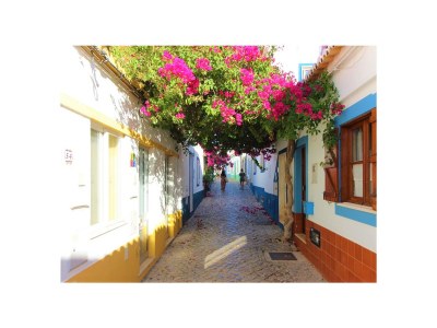 row house Casa Alba - Environment photo 55