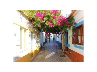 row house Casa Alba - Environment photo 65