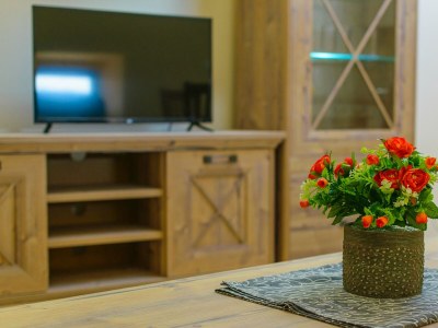 Apartment House Panorama  A3 - Features photo 20