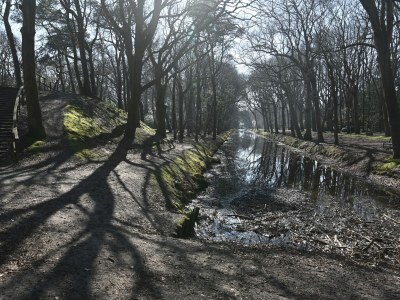 Holiday house Cozy vacation home near the sea - Environment photo 39