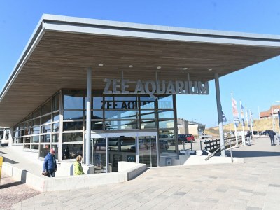 Holiday house Cozy vacation home near the sea - Environment photo 44