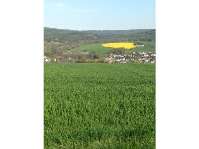 Holiday apartment Holiday Home "Pure Nature" - Environment photo 18