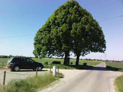 Holiday apartment Ginkgo - Environment photo 12