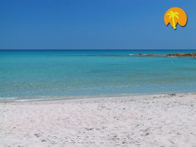 Apartment C. Liberotto, close to Caribbean-like beaches - Features photo 6