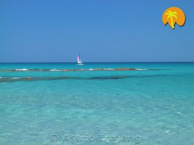 Apartment C. Liberotto, close to Caribbean-like beaches - Features photo 24