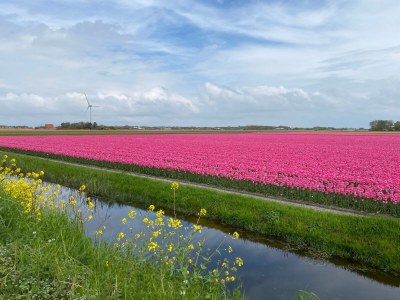 Holiday apartment So nice it can be - Environment photo 21
