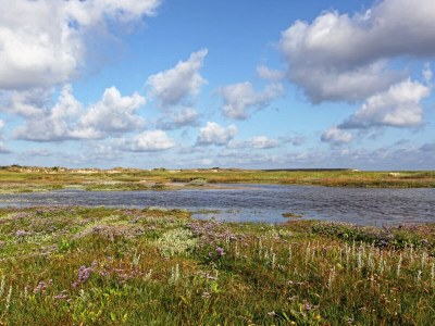 Holiday apartment De Princenhof 8 personen - Environment photo 21