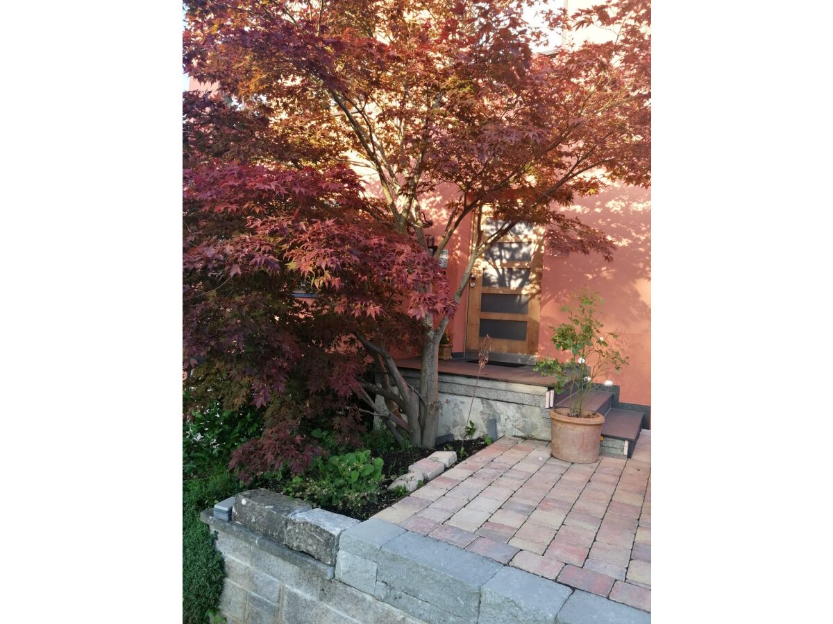 Holiday apartment Rebe-Meersburg House - Outdoor photo 4