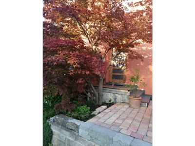 Holiday apartment Rebe-Meersburg House - Outdoor photo 4