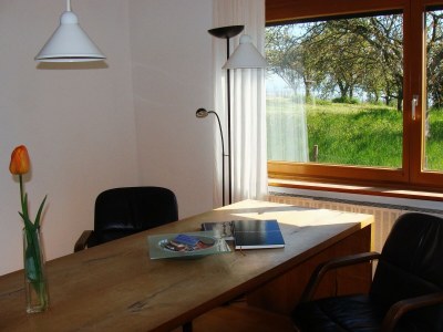 Holiday apartment Rebe-Meersburg House - Outdoor photo 8