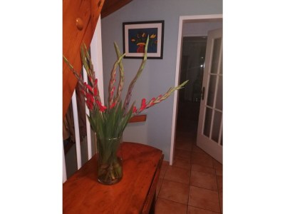 Holiday apartment Rebe-Meersburg House - Outdoor photo 12