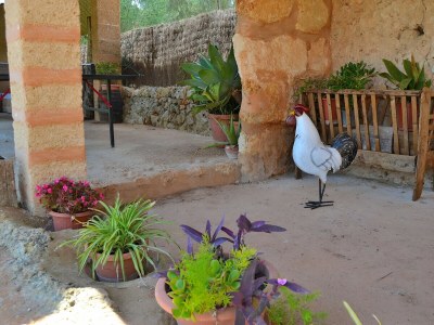 Holiday house 005 Finca Can Cortana ETV/7345 by Mallorca Cha - Environment photo 30