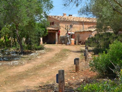 Holiday house 005 Finca Can Cortana ETV/7345 by Mallorca Cha - Environment photo 32