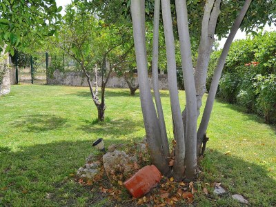 Cottage 018 Finca Can Blanc ETV/44 by Mallorca Charme - Environment photo 22