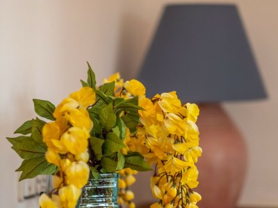 Cottage 040 Villa Can Mussol ETV/1463 by Mallorca Charme - Features photo 21