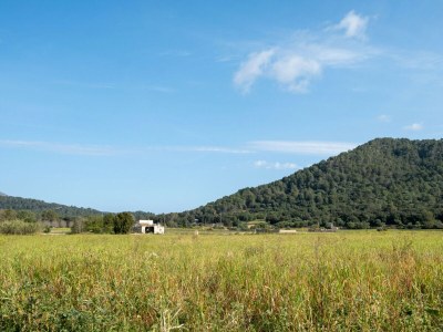 Cottage 040 Villa Can Mussol ETV/1463 by Mallorca Charme - Environment photo 23