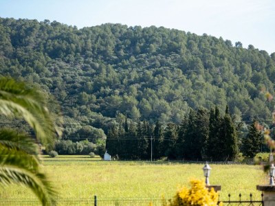 Cottage 040 Villa Can Mussol ETV/1463 by Mallorca Charme - Environment photo 28