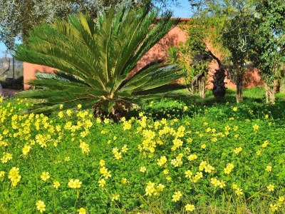 Cottage 070 Finca Son Arcaines de Can Simó ETV/4134 by Mal - Outdoor photo 19