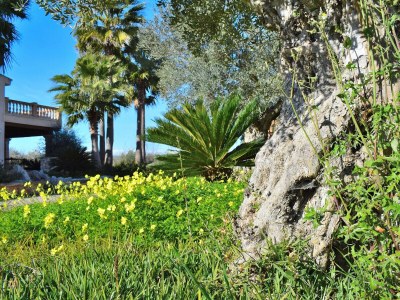 Cottage 070 Finca Son Arcaines de Can Simó ETV/4134 by Mal - Environment photo 29