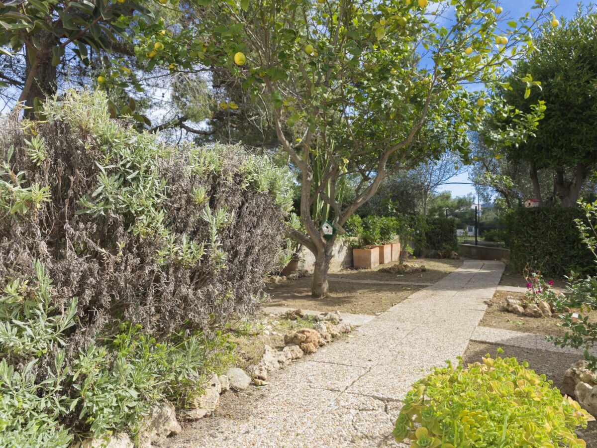 Holiday house 080 Casa Can Xim ETV/8770 by Mallorca Charme - Outdoor photo 2