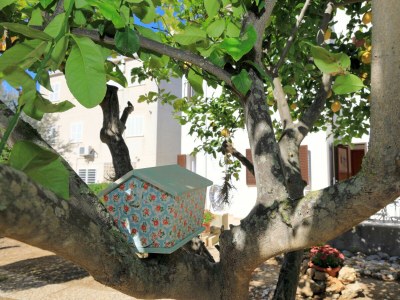 Holiday house 080 Casa Can Xim ETV/8770 by Mallorca Charme - Environment photo 34