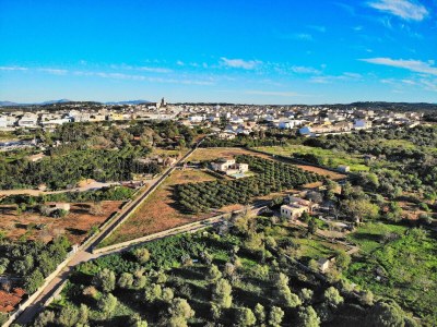 Cottage 081 Finca Els Tarongers ETV5766 by Mallorca Charme - Outdoor photo 14