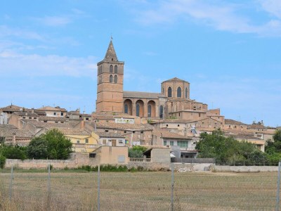 Cottage 087 Finca Es Camp Pla VT/1828 by Mallorca Charme - Environment photo 23