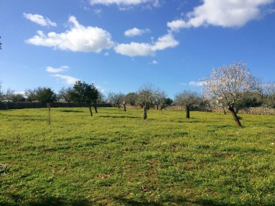 Cottage 094 Finca Barranc Son Fullós ETV/2624 by Mallorca - Environment photo 21