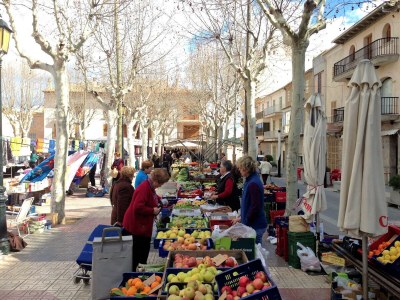 Cottage 094 Finca Barranc Son Fullós ETV/2624 by Mallorca - Environment photo 23