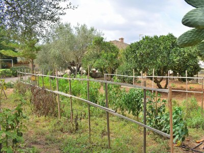 Cottage 097 Finca Son Fonto ETV/5239 by Mallorca Charme - Outdoor photo 16