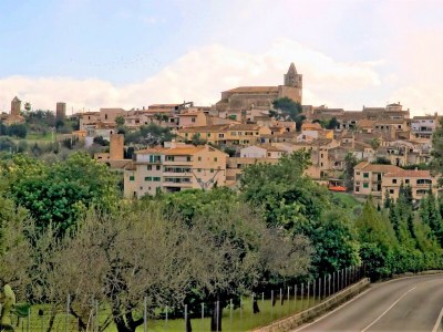 Cottage 115 Finca Sa Figuera Blanca ETV/2736 by Mallorca C - Environment photo 23