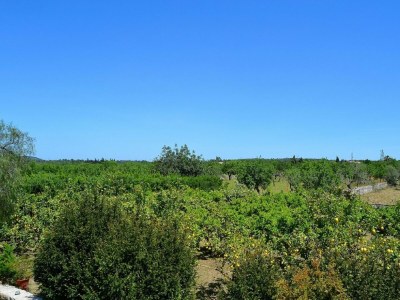 Cottage 128 Finca Son Rossinyol ETV/10657 by Mallorca Char - Environment photo 26