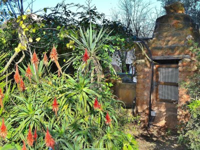 Cottage 138 Finca Els Olivers ET/1083 by Mallorca Charme - Outdoor photo 4