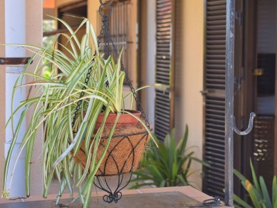 Chalet 145 Casa Ca Na Coloma ETV/5130 by Mallorca Charme - Outdoor photo 3