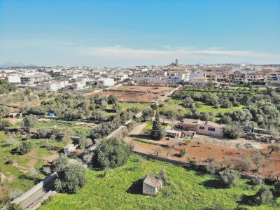 Cottage 147 Finca Terra Nostra ETV/6544 by Mallorca Charme - Environment photo 16