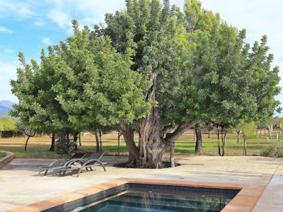 Cottage 151 Villa Es Triquet ET/3366 by Mallorca Charme - Outdoor photo 10