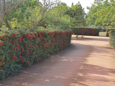 Cottage 151 Villa Es Triquet ET/3366 by Mallorca Charme - Environment photo 47