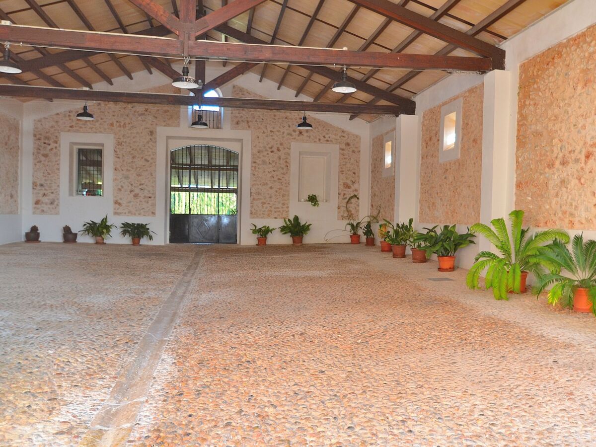 Holiday house 152 Villa Tofollubí TI/63 by Mallorca Charme - Outdoor photo 3