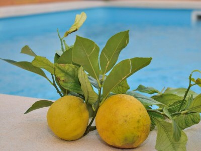 Holiday house 213 Casa Can Cantino ETV/5779 by Mallorca Charme - Environment photo 36