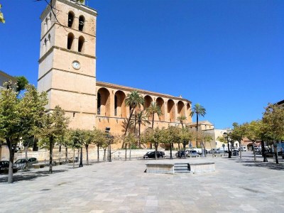 Cottage 225 Finca Sa Casita ETV/10575 by Mallorca Cha - Environment photo 26