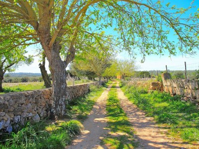 Cottage 235 Sa Cabaneta. S'original ETV/9570 by Mallorca - Outdoor photo 8