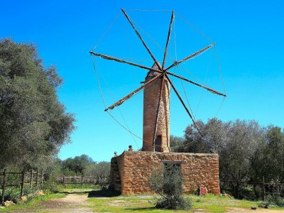 Cottage 235 Sa Cabaneta. S'original ETV/9570 by Mallorca - Environment photo 26