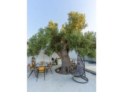 Villa Louloudia - Outdoor photo 7