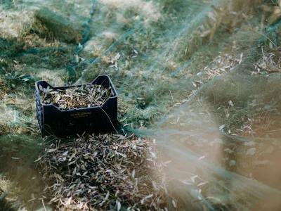 Holiday apartment Casa Madonna della Neve - Environment photo 19