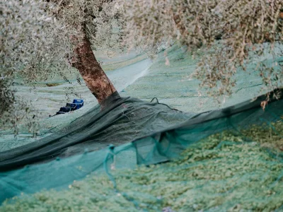 Holiday apartment Casa Madonna della Neve - Environment photo 20