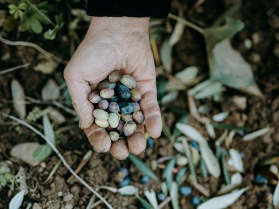 Holiday apartment Casa Madonna della Neve - Environment photo 22